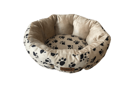Cama DBS241S