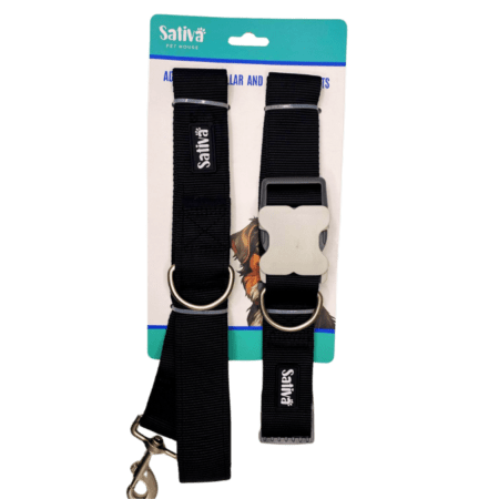 Set correa y collar raza Grande y gigante alta resistencia PROMO 5+1